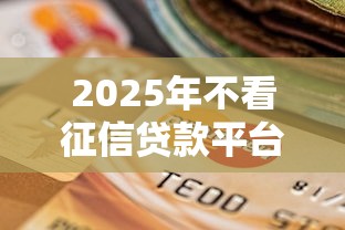 2025年不看征信贷款平台深度解析：理财视角下的风险与选择