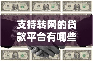 支持转网的贷款平台有哪些？最新转贷攻略与平台推荐