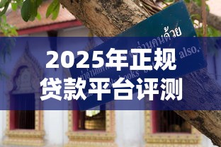 2025年正规贷款平台评测与避坑指南