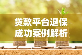 中信征信的第二天被拒：整合5个网络贷款平台排名不分先后