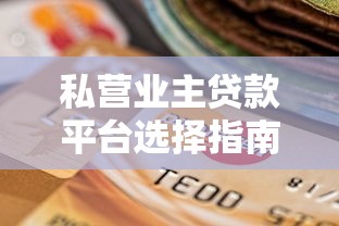 私营业主贷款平台选择指南：融资与理财双赢策略