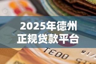 2025年德州正规贷款平台推荐：安全可靠的选择指南