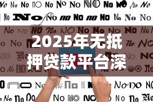 2025年无抵押贷款平台深度解析与实战指南