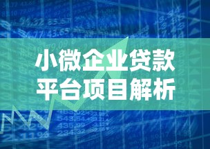小微企业贷款平台项目解析：融资策略与理财实战指南