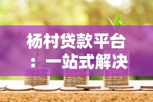 杨村贷款平台：一站式解决资金周转与财富增值难题