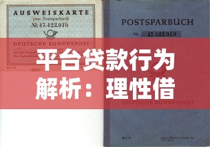 平台贷款行为解析：理性借贷与理财风险防范指南