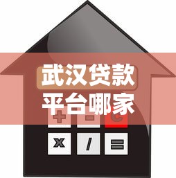 武汉贷款平台哪家强？2025年正规靠谱借贷渠道推荐