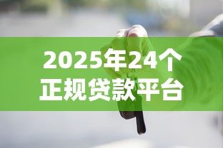 2025年24个正规贷款平台盘点：低息长期分期指南