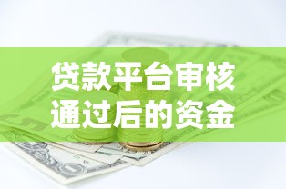 贷款平台审核通过后的资金管理与理财实战指南