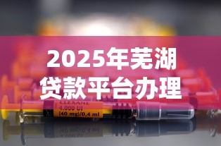 2025年芜湖贷款平台办理指南：个人企业双线解析