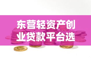东营轻资产创业贷款平台选择与申请全攻略