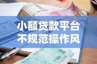 小额贷款平台不规范操作风险解析及应对策略