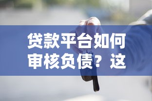 贷款平台如何审核负债？这5个关键点必须知道