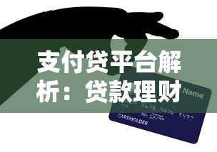 支付贷平台解析：贷款理财如何选择更安全高效