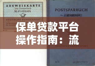 保单贷款平台操作指南：流程、注意事项与平台选择技巧