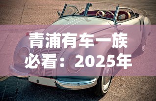 青浦有车一族必看：2025年汽车抵押贷款平台精选指南