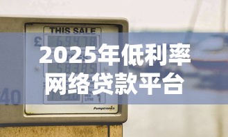 2025年低利率网络贷款平台推荐及申请技巧