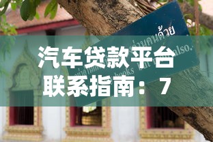 上海周边押车贷款平台推荐及避坑指南