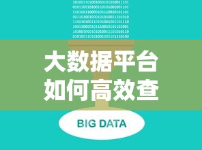 大数据平台如何高效查询贷款进度？这份实操指南请收好