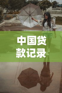 中国贷款记录查询平台2025最新指南：快速掌握信用动态