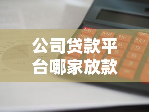 公司贷款平台哪家放款快？2025年企业融资最全指南