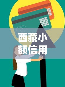 西藏小额信用贷款平台办理指南与理财技巧