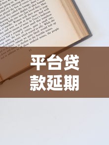 平台贷款延期申请全流程解析
