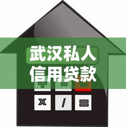 武汉私人信用贷款平台推荐及避坑指南