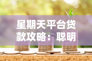 星期天平台贷款攻略：聪明借贷实现财富增值