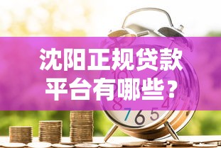 沈阳正规贷款平台有哪些？最新金融机构排名及选择指南
