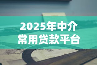 2025年中介常用贷款平台解析与操作指南