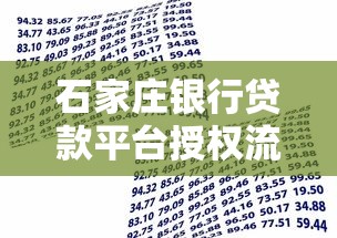 石家庄银行贷款平台授权流程及理财攻略