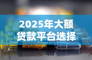 2025年大额贷款平台选择指南：哪个平台能多借钱？