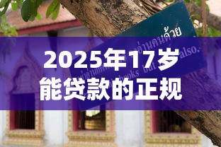借4万分24期正常利息，整理5个黑户借款口子