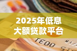 2025年低息大额贷款平台测评与选择指南