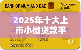 2025年十大上市小微贷款平台综合评测