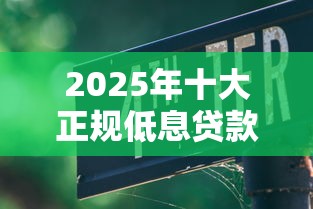 抖音借钱手把手教程！3分钟学会申请流程，避坑指南看这里