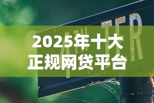 2025年十大正规网贷平台评测与使用指南