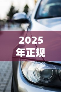 2025年正规车贷平台推荐：哪些渠道能快速上车贷款