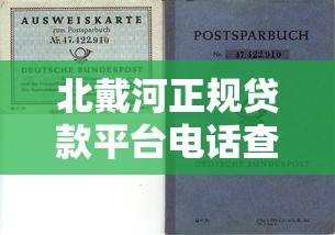 光大龙腾白金卡被拒，整合五个平台借钱快