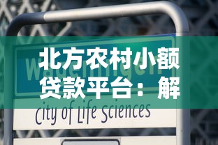 北方农村小额贷款平台：解决资金难题的5大实用策略