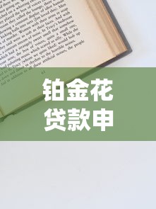 铂金花贷款申请全攻略：从注册到放款全流程解析