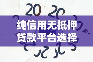 纯信用无抵押贷款平台选择指南