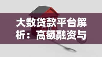 大数贷款平台解析：高额融资与灵活借贷方案详解