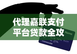 代理嘉联支付平台贷款全攻略：政策解析与实战技巧