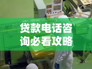 贷款电话咨询必看攻略：如何高效避坑选对平台