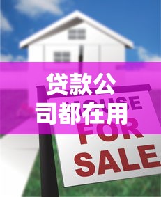 贷款公司都在用哪些平台？7大类型解析与实战指南