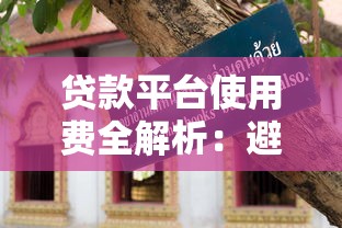 贷款平台使用费全解析：避坑指南与省钱技巧