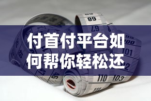 付首付平台如何帮你轻松还贷？专业贷款理财方案解析