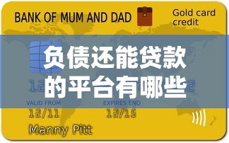 负债还能贷款的平台有哪些？这五类低息渠道助你上岸